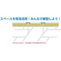 YONEX(ヨネックス) バドミントン ストリング ガット エクス YONEX(ヨネックス) バドミントン ストリング ガット エクス