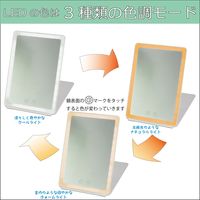 ヤマムラ LEDライトコンパクトミラー YBM-1926 1セット(10個入）（直送品）