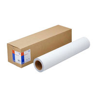エプソン 耐水合成紙ロール/36インチx30.5m EPTG36 1個（直送品）