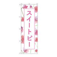 PEOEPv_Nc ̂ڂ XC[gs[ wi mDfma-SOQO vUOO×gPWOO096478 1iij