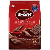 ホームパイ（大人のリッチチョコ）スタンドパック　4902555176758 12マイ×40個 不二家（直送品）