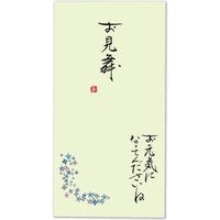 伊予結納センター 日本製 職人直筆 心温 手書き金封 お見舞 V111-22 1セット(5枚:1枚×5)（直送品）