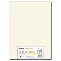 長門屋商店 美彩紙自然色 A4<209g> 50枚 ナ-982 1冊(50枚入)