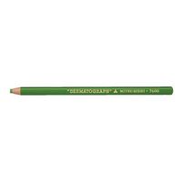 エスコ 油性色鉛筆(12本/黄緑) EA765MD-28 1セット(48本:12本×4箱)（直送品）