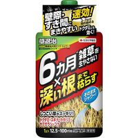 住友化学園芸 草退治メガロングシャワー 1L 2055089 1本（直送品）