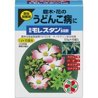 ZFw| X^a0.5g×10 2055139 1iij