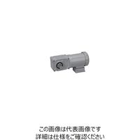 ニッセイ ギアモータ F3F22R5-MM04TWJNB4 601645204 1台（直送品）