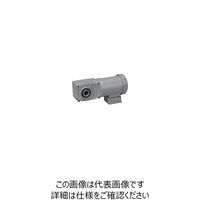 ニッセイ ギアモータ F3S25N7-MM04TWJNB4 601643420 1台（直送品）