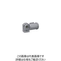 ニッセイ ギアモータ H2L28R40-MM04TWNTN 601610648 1台（直送品）