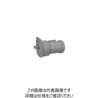 シグマー技研 シグマー 直交軸脚取付形減速機 三相0.2KW 減速比1/10