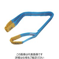 テザック ブルースリング IVE(両端アイタイプ) 4E25X8 1本（直送品）