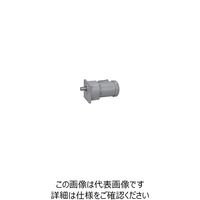 ニッセイ ギアモータ G3K18N30ーMM01TWJNB4 601602335 1台（直送品）