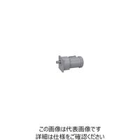 ニッセイ ギアモータ G3K18N25-MM02TWJNB4 601602349 1台（直送品）