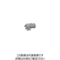 ニッセイ ギアモータ G3L32N300ーMM02TWNTB4 601600266 1台（直送品）