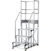 TSFGR-4612-TF300（直送品）