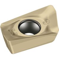 ワルタージャパン Walter ミーリング加工用 ひし形ポジチップ WSM35G BCMT090304R-G55 1セット(10個)（直送品）