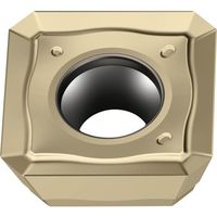 ワルタージャパン Walter ミーリング加工用 正方形ポジチップ WSM35G SDGT09T3AZN-F57 1セット(10個)（直送品）