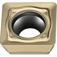 ワルタージャパン Walter ミーリング加工用 正方形ポジチップ WSM35G SDMT09T3AEN-D57 1セット(10個)（直送品）