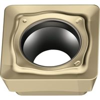 ワルタージャパン Walter ミーリング加工用 正方形ポジチップ WSM35G SDGT09T3PDR-D57 1セット(10個)（直送品）