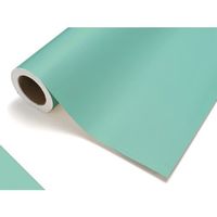 中川ケミカル カッティングシート419ミント450mm×12M CS045419R 1本 175-7609（直送品）