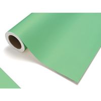 中川ケミカル カッティングシート417レタス450mm×12M CS045417R 1本 175-6082（直送品）