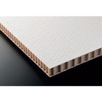 RISU テクセルセイント T20ー2800S1000×2000 SAINT T20-2800S 1000 2000 1枚（直送品）