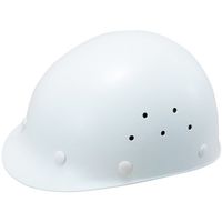 1360=DPZ-W1（直送品）