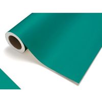 中川ケミカル カッティングシート406シアングリーン450mm×12M CS045406R 1本 175-7664（直送品）