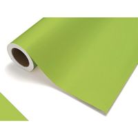 中川ケミカル カッティングシート412スプリンググリーン450mm×12M CS045412R 1本 175-7671（直送品）