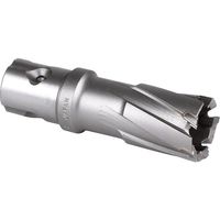 ミヤナガ 磁気ボール盤カッター デルタゴンメタルボーラー350A φ19.5 DLMB35A195 1個 162-4803（直送品）