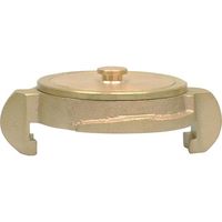 岩崎製作所 IWA 黄銅製 中島式キャップ 36GNA65B 1個 509-1242（直送品）