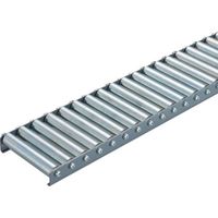 太陽工業 タイヨー 小径切削ホイールコンベヤ 20φX巾100mmXP30X機長2000mm TWM20100KLP302000L 1本（直送品）