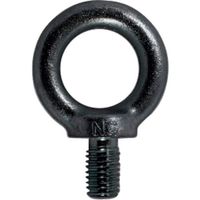 大洋製器工業 TAIYO アイボルト 黒 Wー5/16(1025232) 1025232 1個 460-7327（直送品）