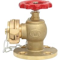 岩崎製作所 IWA 船舶用 黄銅製 フランジ付中島式消火栓バルブ 54NAV0550B 1個 510-2270（直送品）