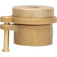 岩崎製作所 IWA 船舶用 黄銅製 測深キャップ 54SC65B 1個 509-9107（直送品）