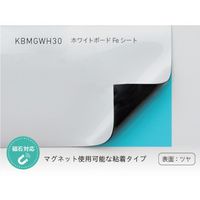 中川ケミカル ホワイトボードFeシート グロスタイプ KBMGWH30120001 1セット(20巻) 576-4977（直送品）