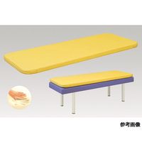 アズワン マッシュマット 幅60×180×5 スカイブルー 60-1090-17 1台（直送品）