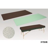 アズワン ウィーヴマット(小)幅65×長さ170×厚み3.5 イエロー 60-1092-57 1台（直送品）