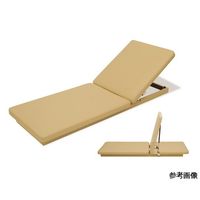 アズワン ロウライナーI 幅65×奥行190×高さ15(全高90)白 60-1101-26 1台（直送品）