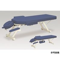 アズワン イージーウイングー5型 幅55×長さ170×高さ45 ライトグリーン 60-1119-21 1台（直送品）