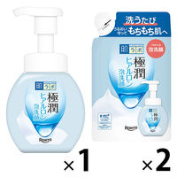 肌ラボ 極潤 ヒアルロン泡洗顔 本体＋詰替お得セット(肌ラボ 極潤 ヒアルロン泡洗顔 160mL　1個＋詰替 140mL×2個)ロート製薬