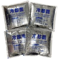 ミズケイ ポケット付きハニカムメッシュベスト「快風」専用保冷剤4個セット 8131985 1個(4個) 530-1354（直送品）