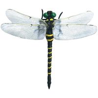 Trimate オニヤンマちゃん 安全ピン&ストラップパーツ付き TR-ONY001 1個 67-4920-32（直送品）