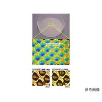 EZSPHERE(R) SP(スフェロイド形成培養用容器)ディッシュ60mm 1箱(10枚入) 4010-900SP 1箱(10枚)（直送品）