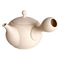 南海通商 急須 260ml ロクサン tokoname 丸型 ホワイト 476133 1個（直送品）