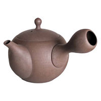 南海通商 急須 260ml ロクサン tokoname 丸型 ブラウン 476135 1個（直送品）