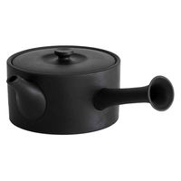 南海通商 急須 460ml ロクサン tokoname 平型 ブラック 476137 1個（直送品）