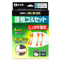 浅井商事 腰椎コルセット L 1個
