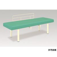 アズワン E型DXベッド 幅65×長さ180×高さ60 ライトグリーン 60-0954-39 1台（直送品）