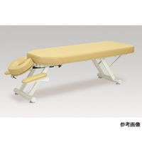 アズワン GSイージーベッドー5型 幅50×長さ180×高さ40 レッド 60-0989-21 1台（直送品）